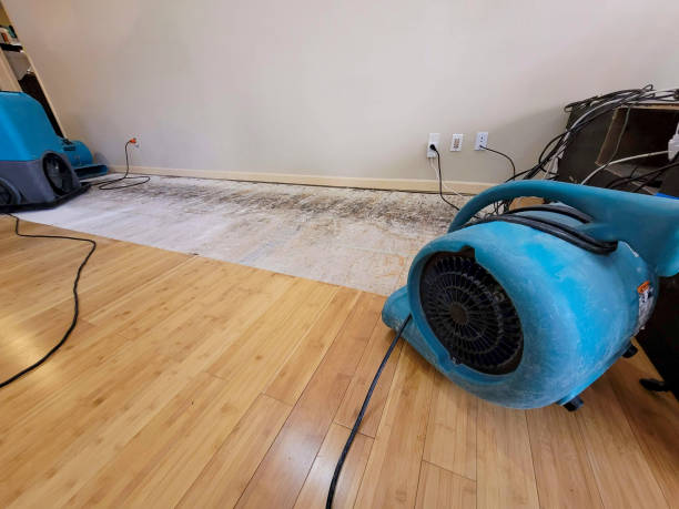 Professional Basement Flood Cleanup technician working in Townsend, TN